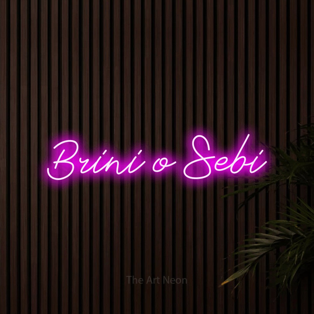 LED neon sign reading “Brini o Sebi”, arranged in a single line.