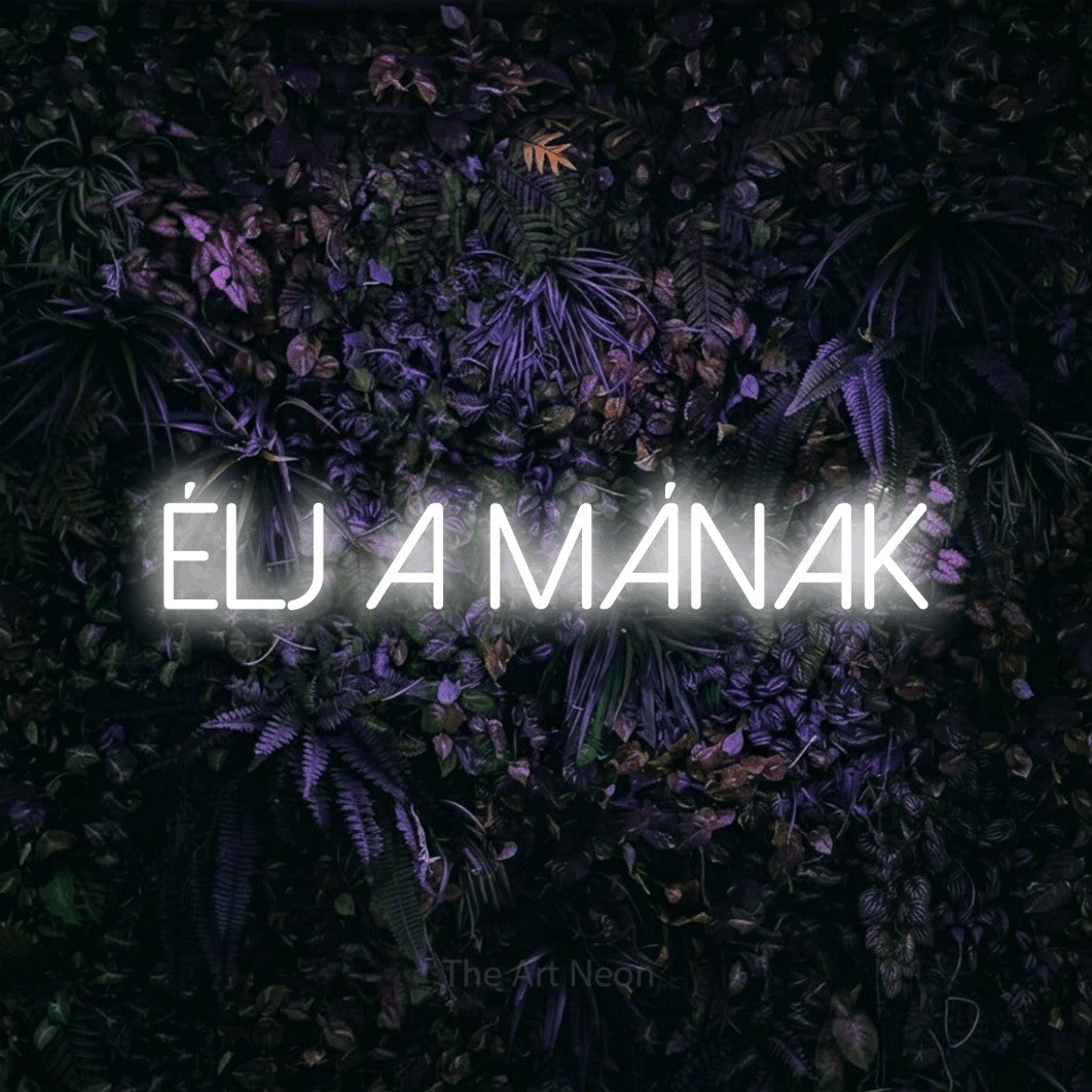 LED neon sign reading “Élj A Mának”, arranged in a single line.