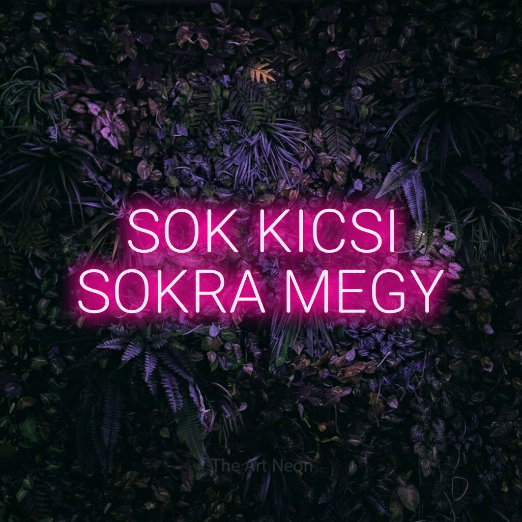 LED neon sign reading “SOK KICSI SOKRA MEGY”, arranged in two lines.