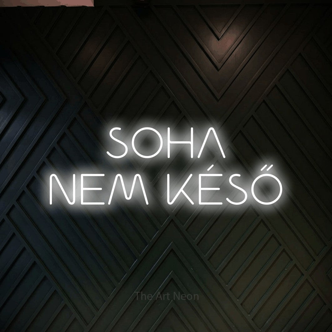 LED neon sign reading “SOHA NEM KÉSŐ”, arranged in two lines.
