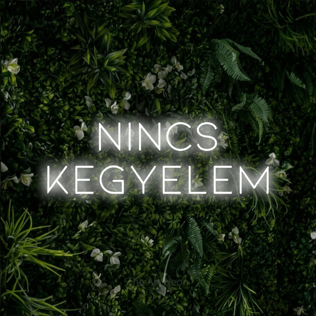 LED neon sign reading “NINCS KEGYELEM”, arranged in two lines.