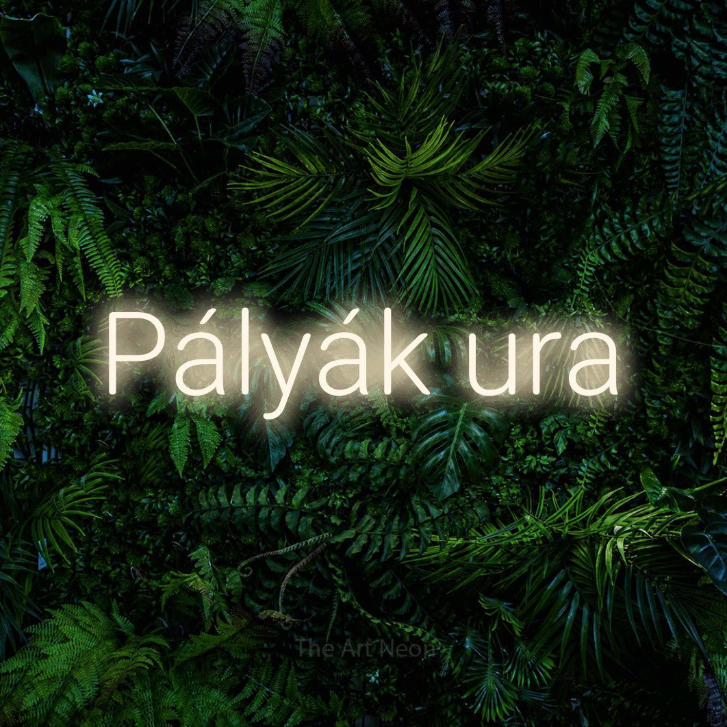 LED neon sign reading “Pályák ura”, arranged in a single line.