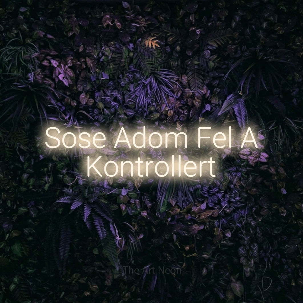 LED neon sign reading “Sose Adom Fel A Kontrollert”, arranged in two lines.