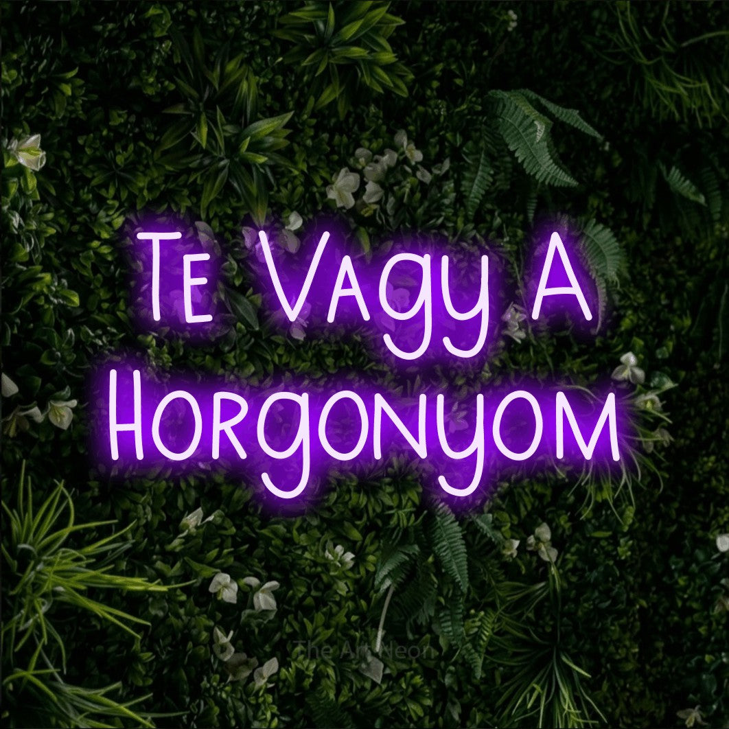 LED neon sign reading “Te Vagy A Horgonyom”, arranged in two lines.