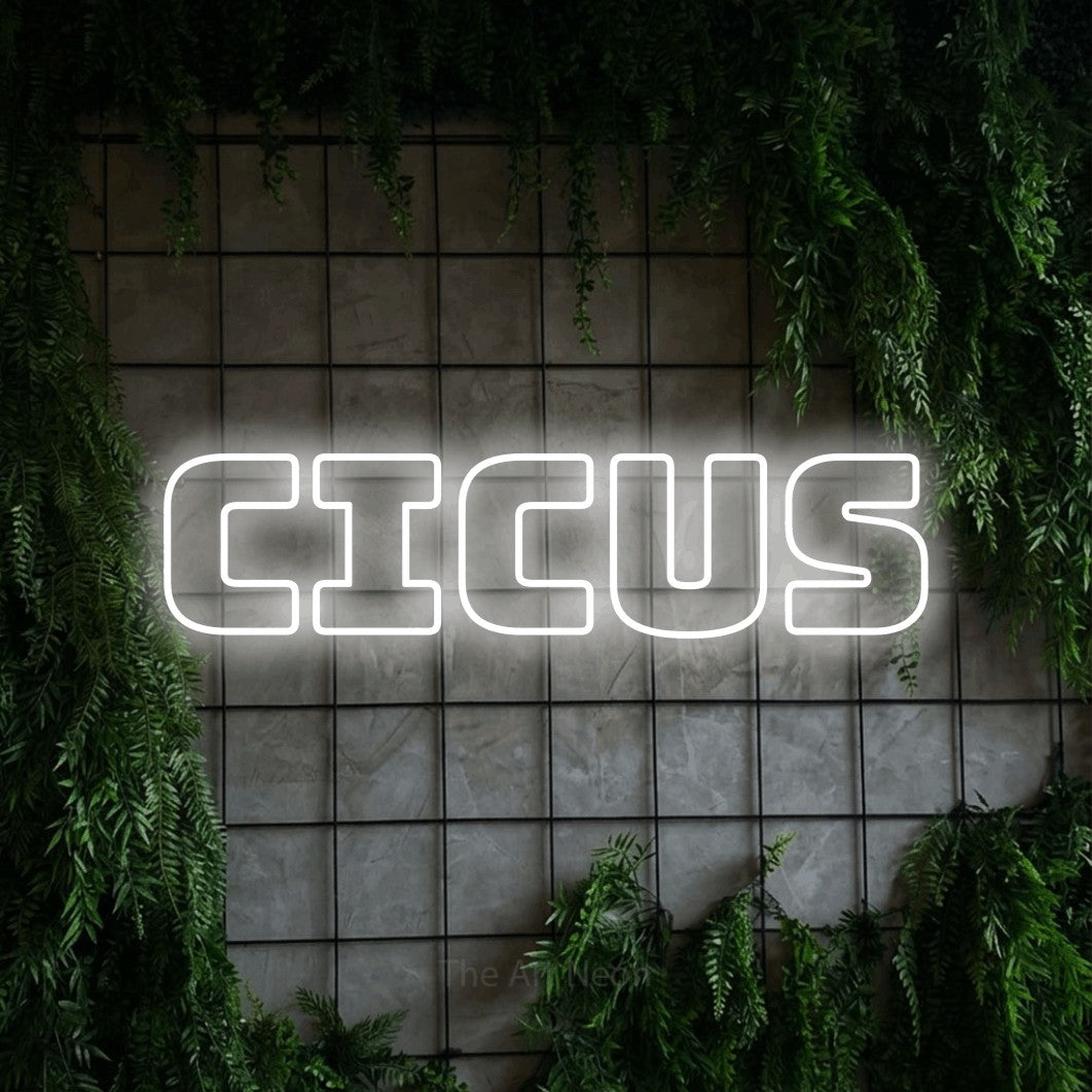 LED neon sign reading “Cicus”, arranged in a single line.