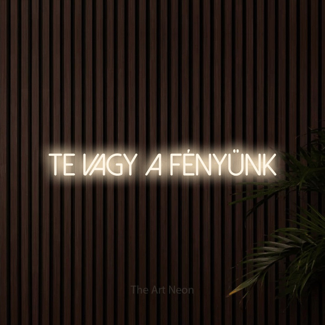 LED neon sign reading “TE VAGY A FÉNYÜNK”, arranged in a single line.