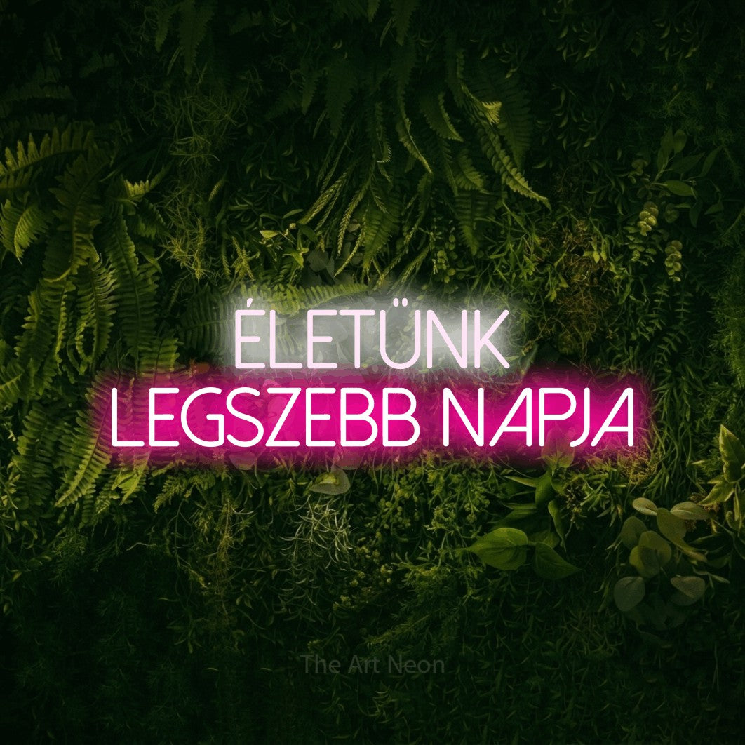 LED neon sign reading “életünk LEGSZEBB napja”, arranged in two lines.