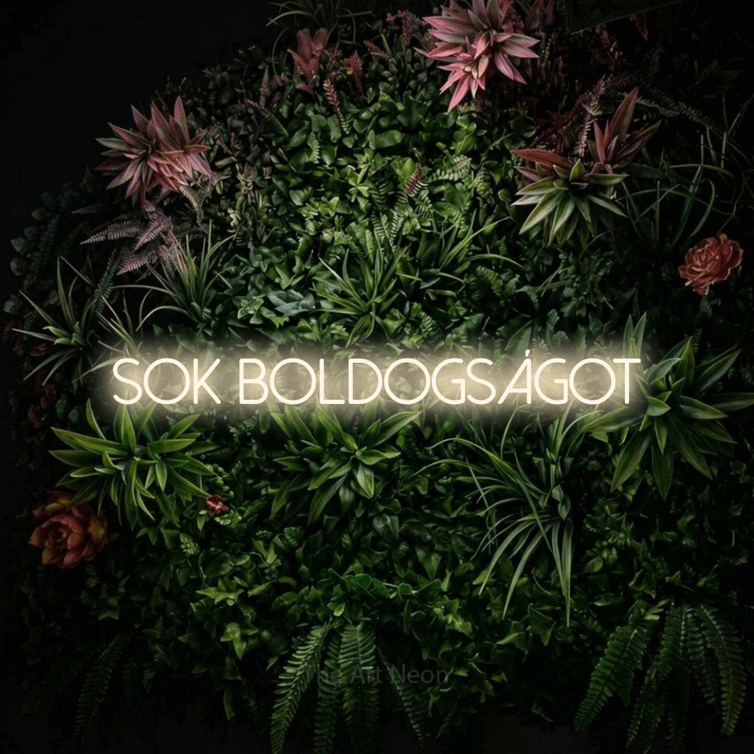 LED neon sign reading “sok boldogságot”, arranged in a single line.