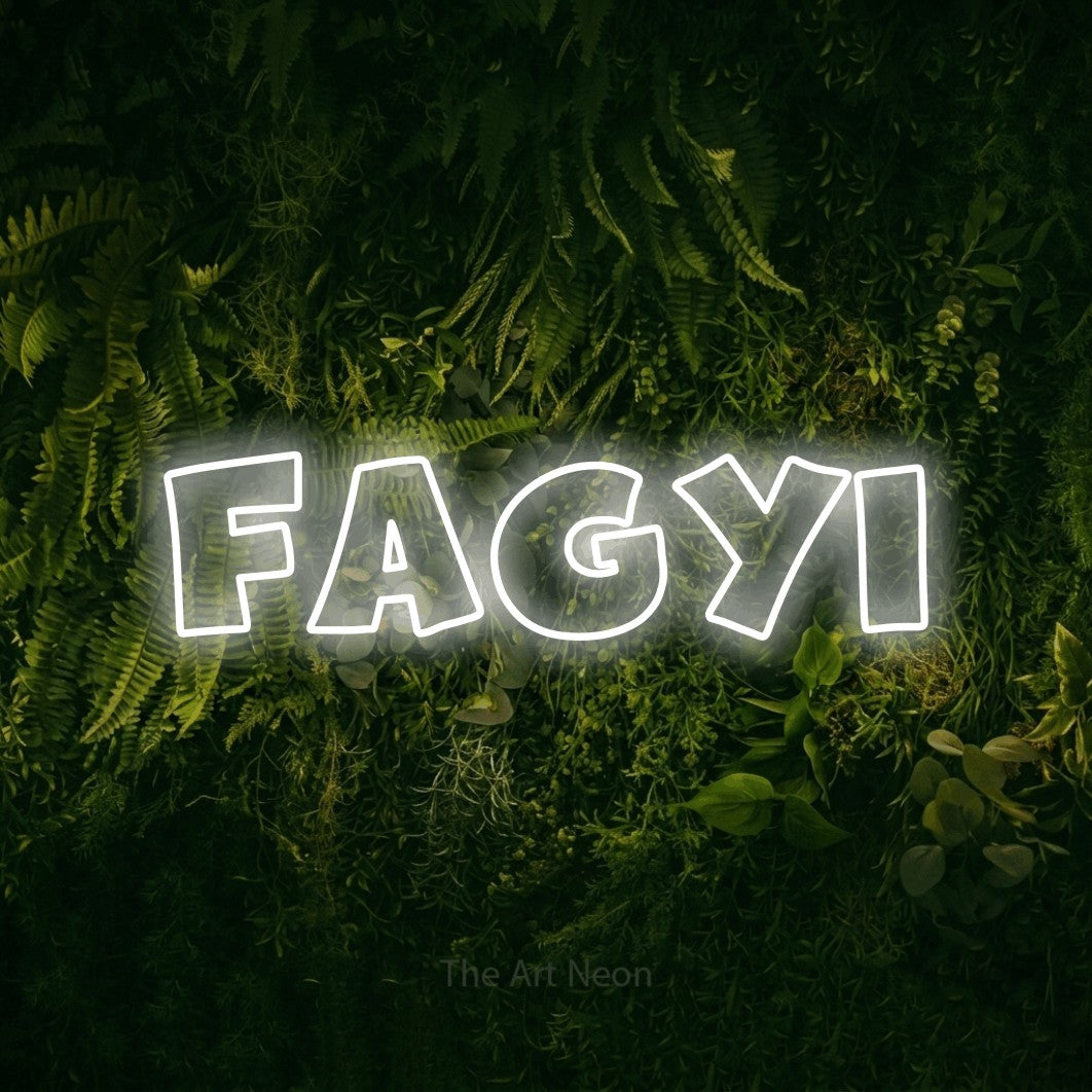 LED neon sign reading “Fagyi”, arranged in a single line.