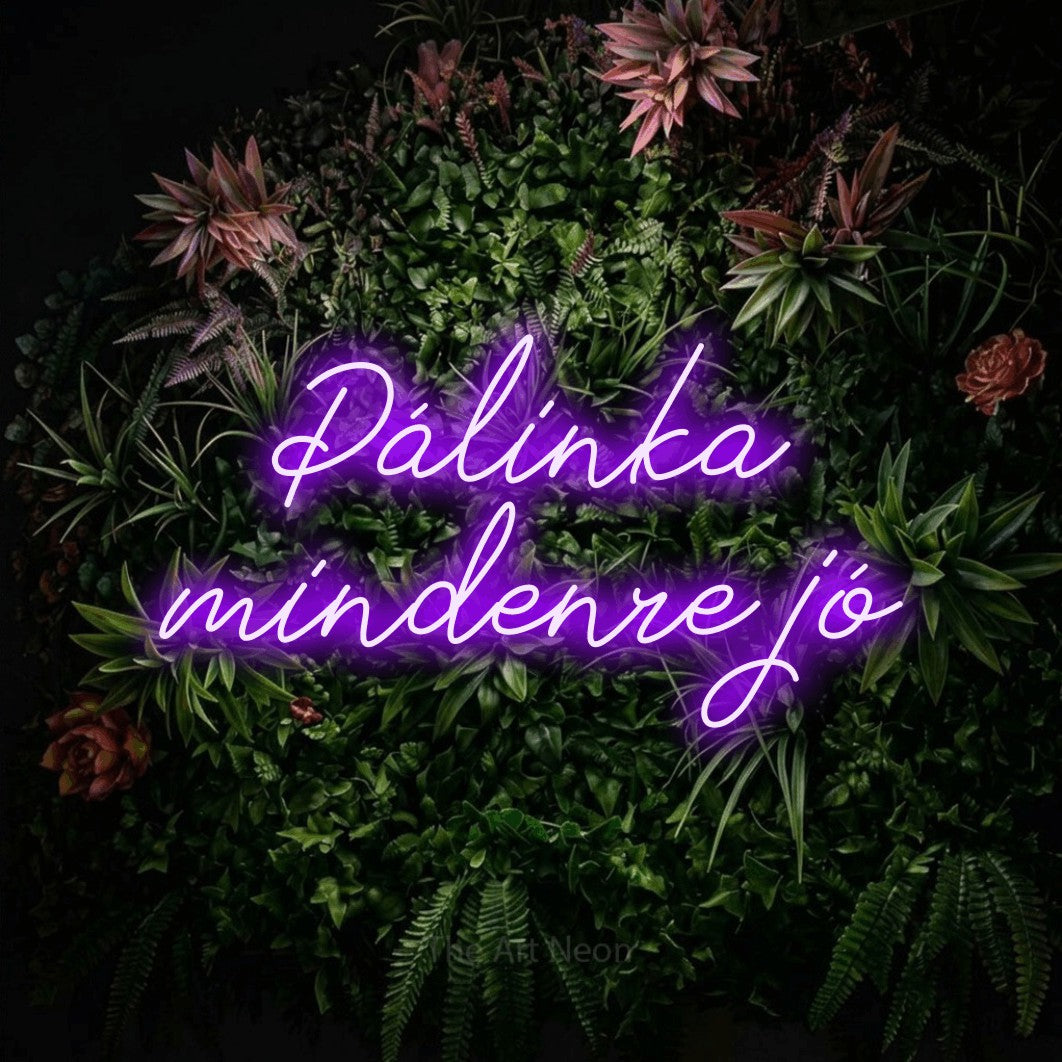 LED neon sign reading “Pálinka mindenre jó”, arranged in two lines.