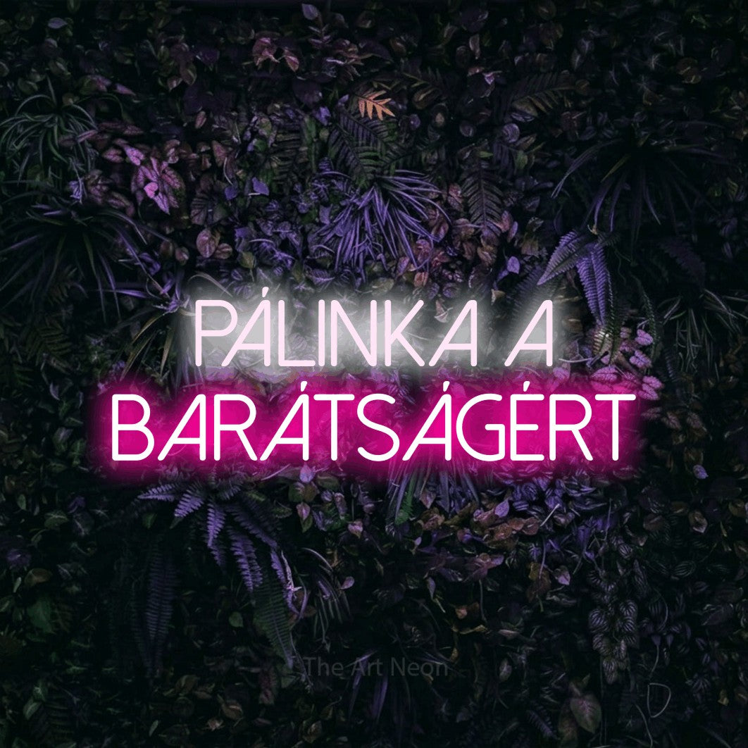 LED neon sign reading “pálinka a barátságért”, arranged in two lines.
