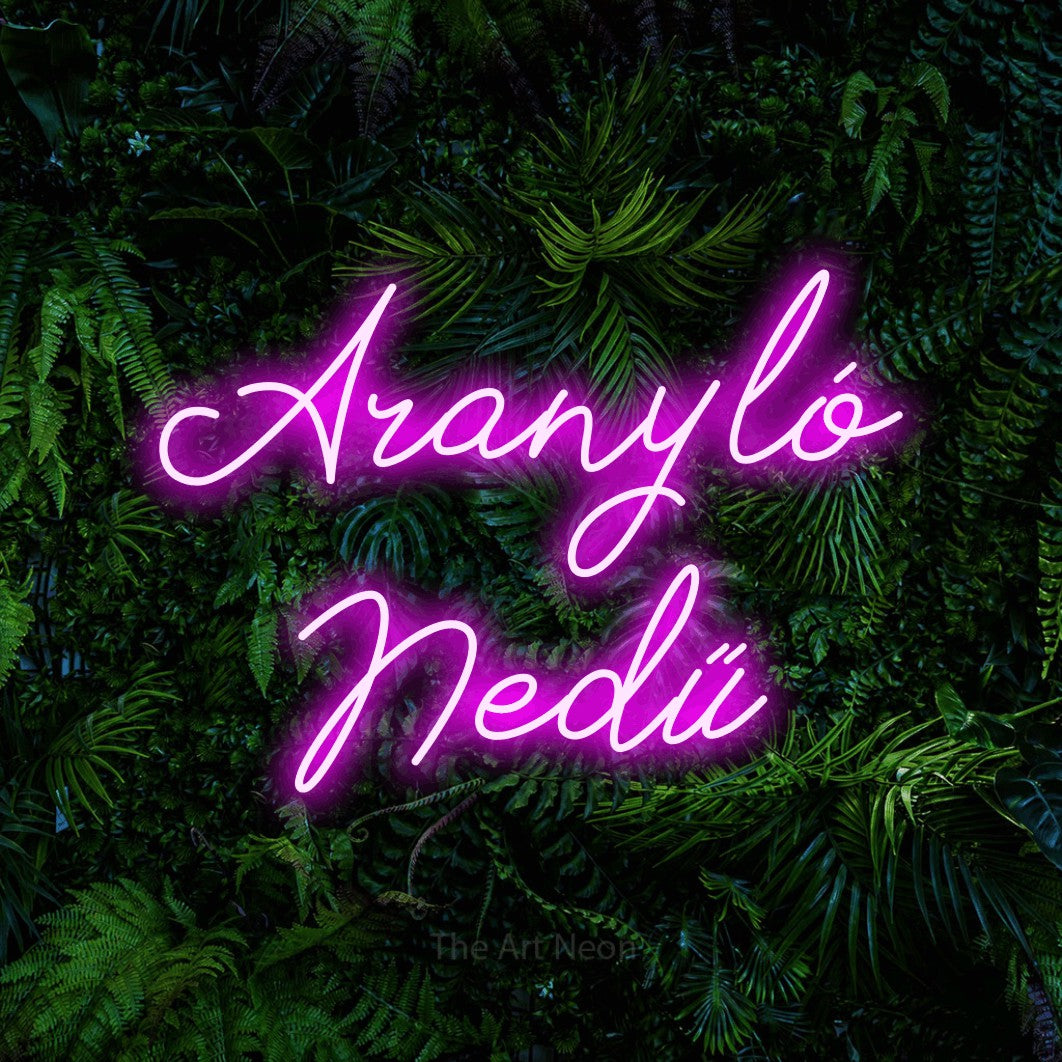 LED neon sign reading “Aranyló Nedű”, arranged in two lines.