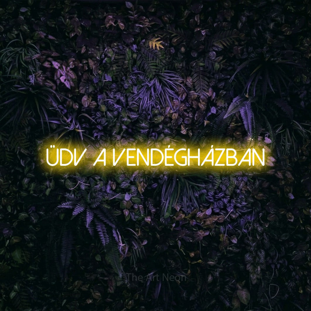 LED neon sign reading “Üdv A Vendégházban”, arranged in a single line.