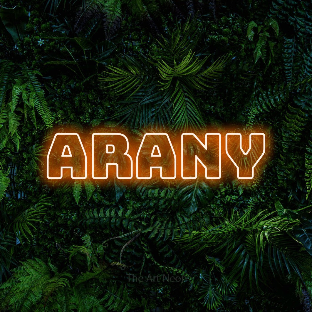 LED neon sign reading “ARANY”, arranged in a single line.
