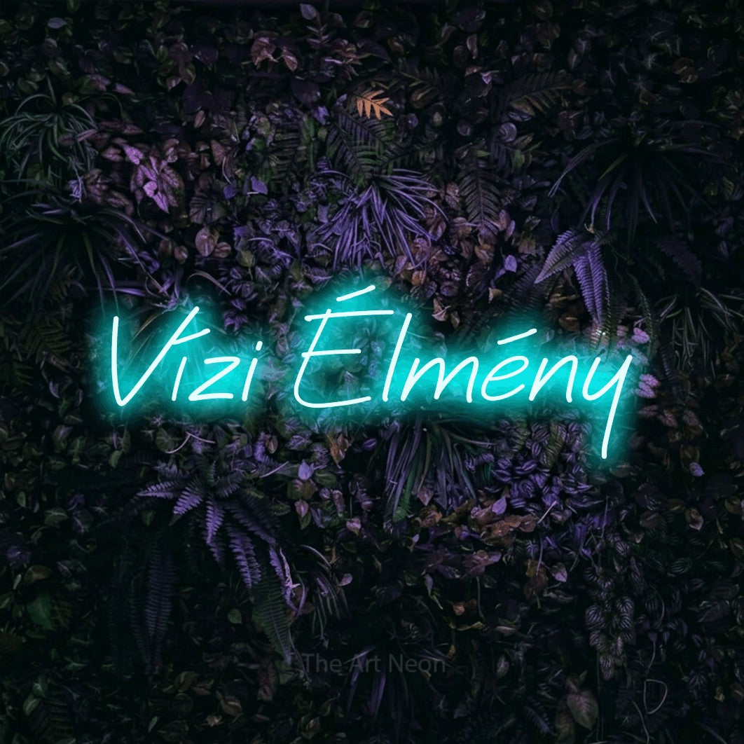 LED neon sign reading “Vízi Élmény”, arranged in a single line.