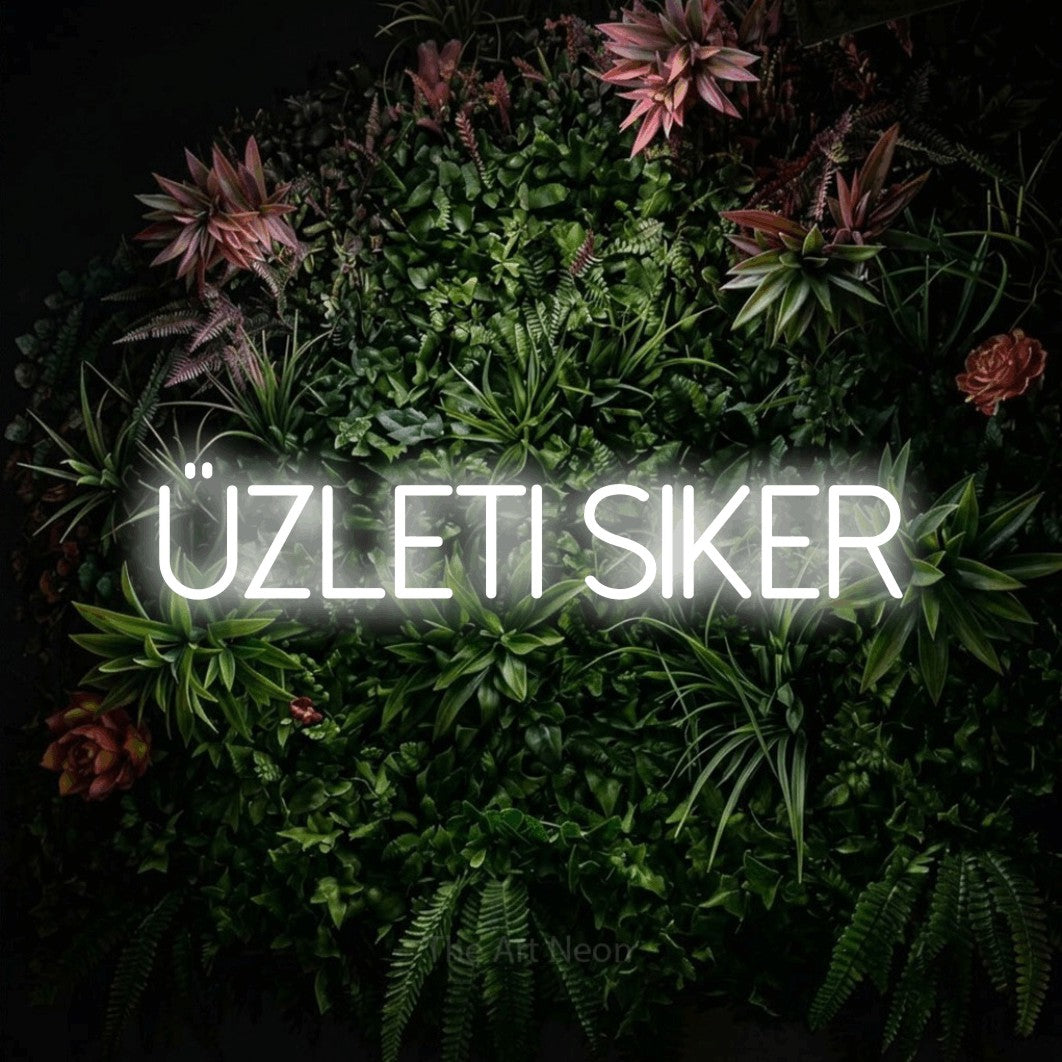 LED neon sign reading “üzleti siker”, arranged in a single line.