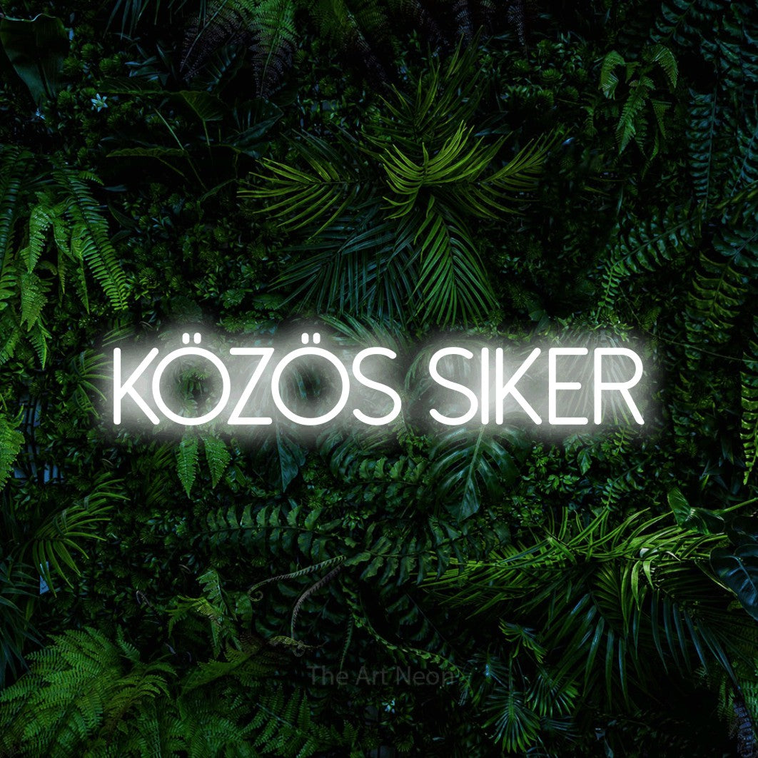 LED neon sign reading “Közös Siker”, arranged in a single line.