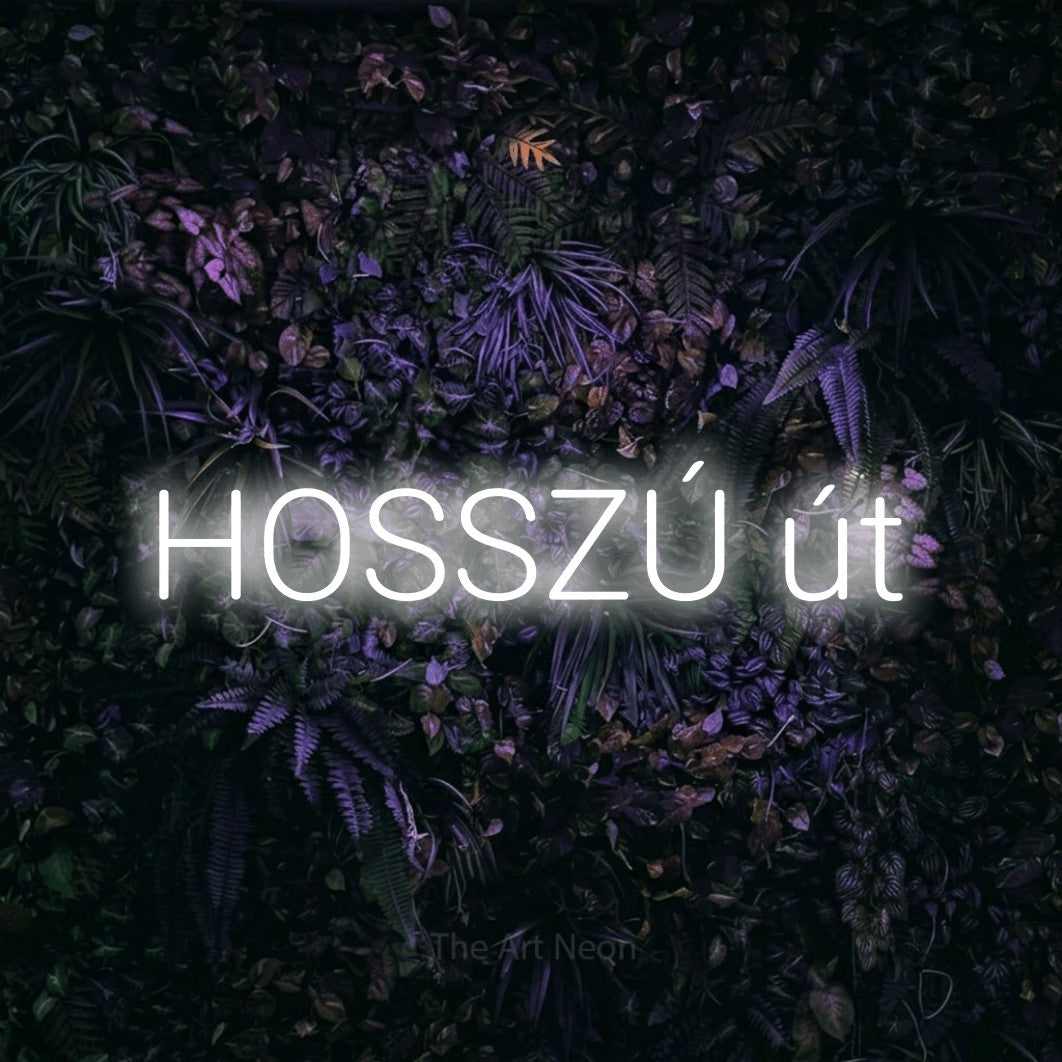 LED neon sign reading “HOSSZÚ út”, arranged in a single line.