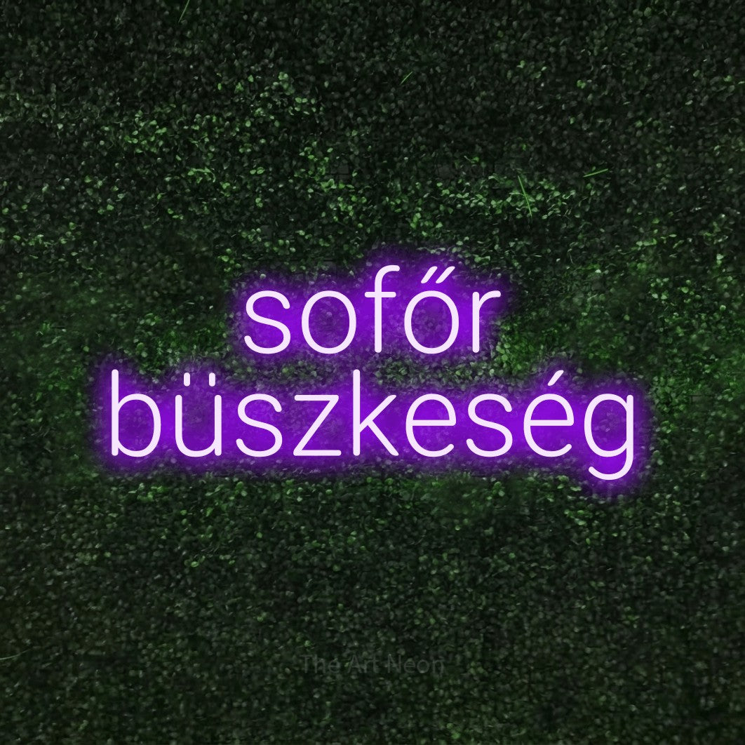 LED neon sign reading “sofőr büszkeség”, arranged in two lines.
