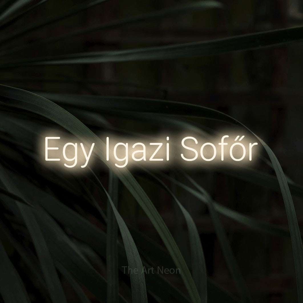 LED neon sign reading “Egy Igazi Sofőr”, arranged in a single line.