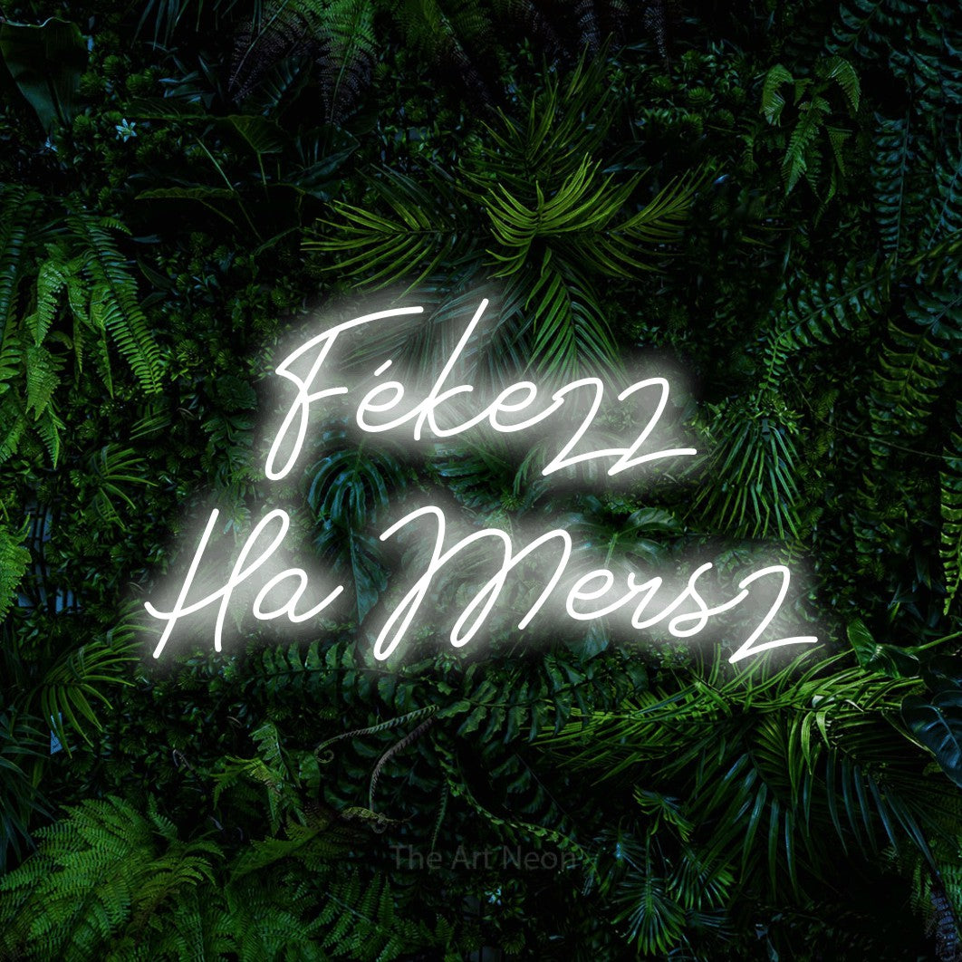 LED neon sign reading “Fékezz Ha Mersz”, arranged in two lines.