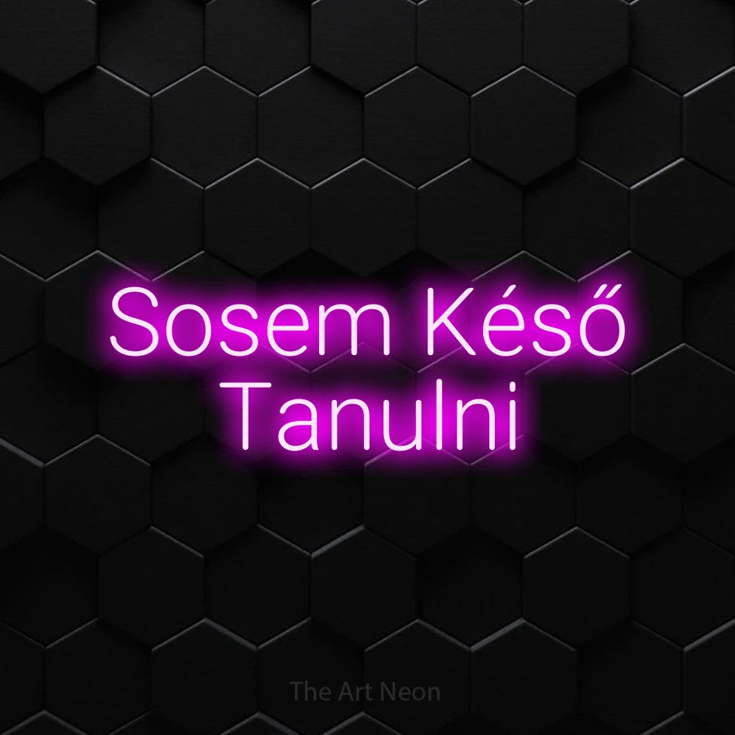 LED neon sign reading “Sosem Késő Tanulni”, arranged in two lines.