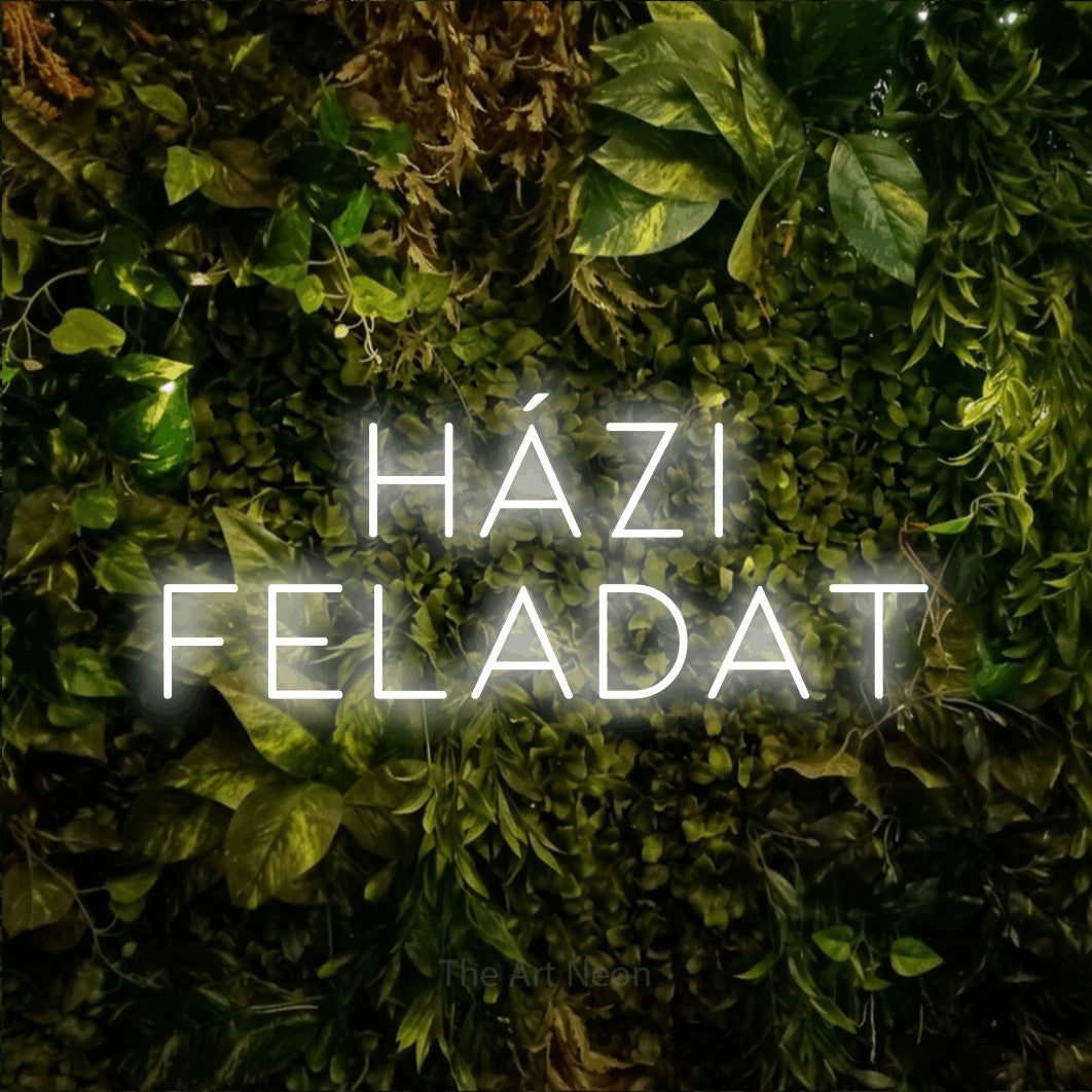 LED neon sign reading “HÁZI FELADAT”, arranged in two lines.