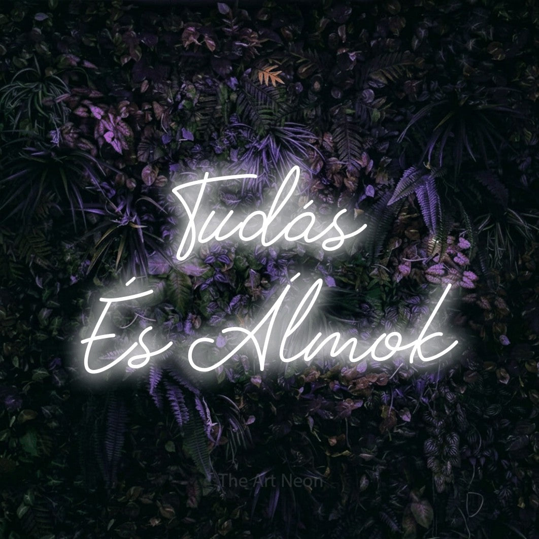 LED neon sign reading “Tudás És Álmok”, arranged in two lines.