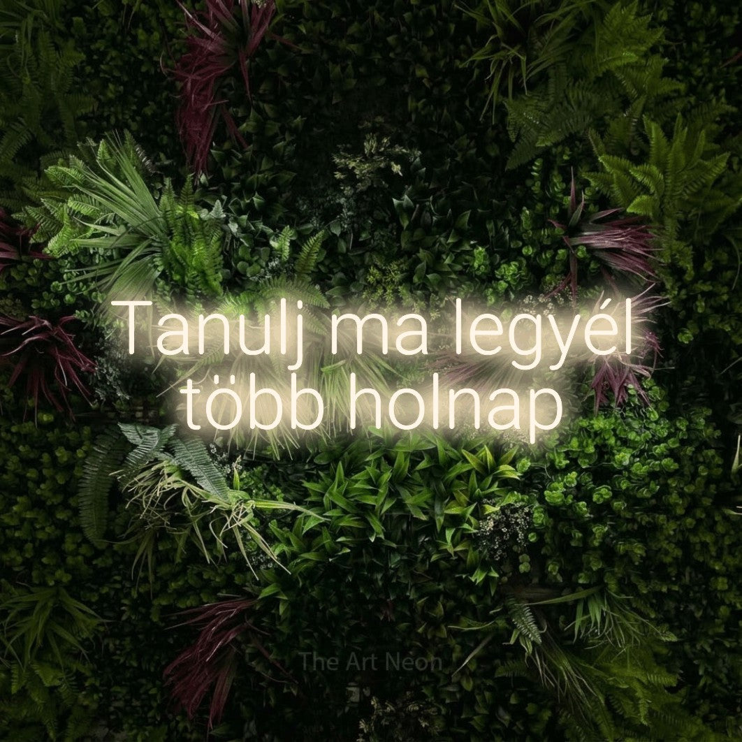 LED neon sign reading “Tanulj ma legyél több holnap”, arranged in two lines.