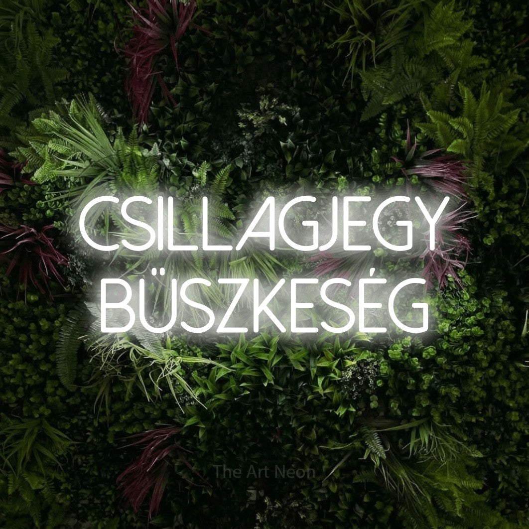 LED neon sign reading “CSILLAGJEGY BÜSZKESÉG”, arranged in two lines.