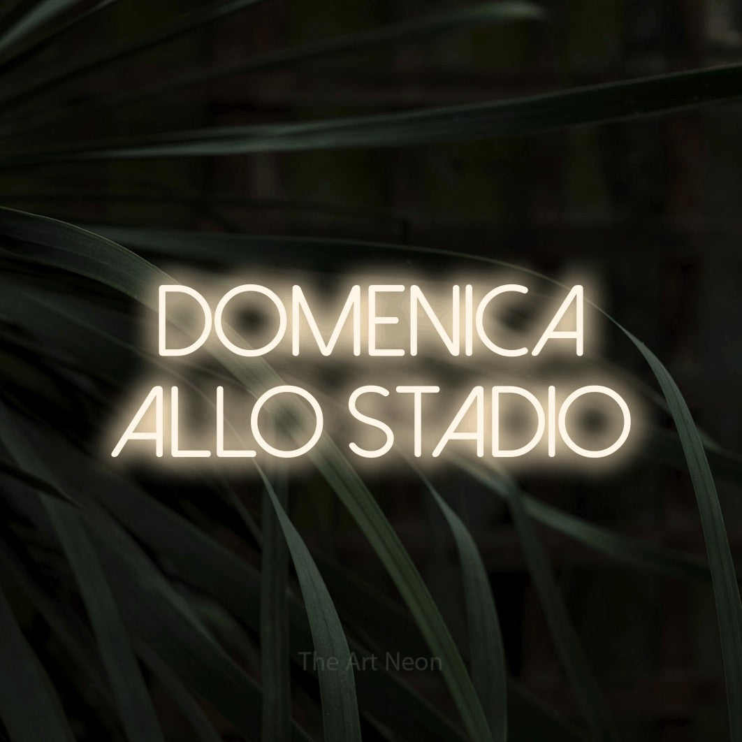 LED neon sign reading “DOMENICA ALLO STADIO”, arranged in 2 lines.