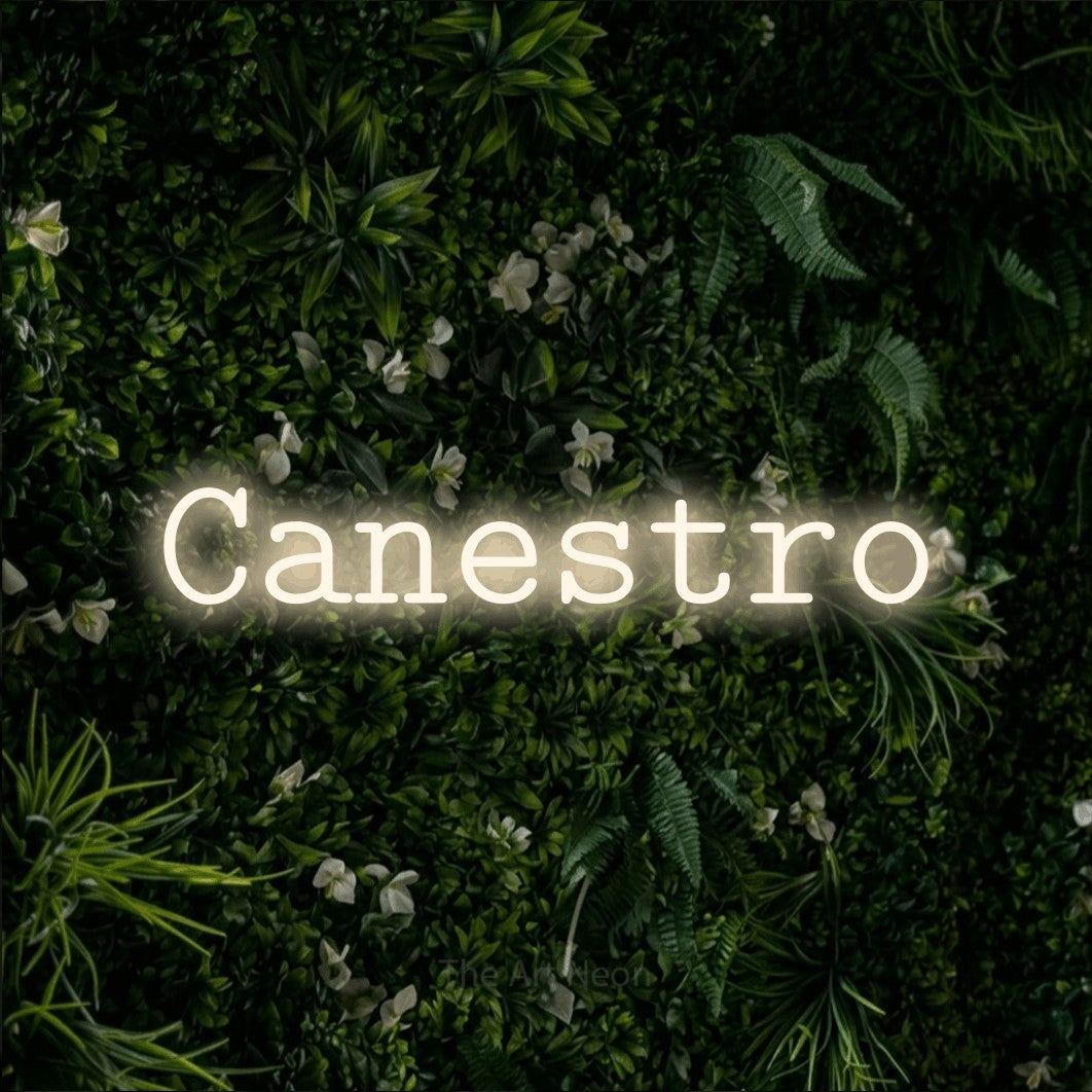 LED neon sign reading “Canestro”, arranged in a single line.