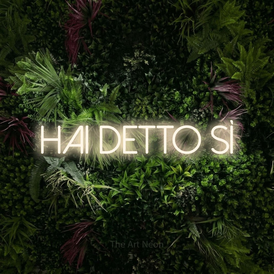 LED neon sign reading “Hai Detto Sì”, arranged in a single line.