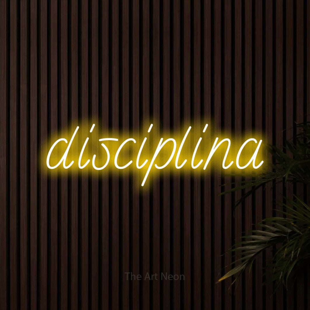 LED neon sign reading “disciplina”, arranged in a single line.