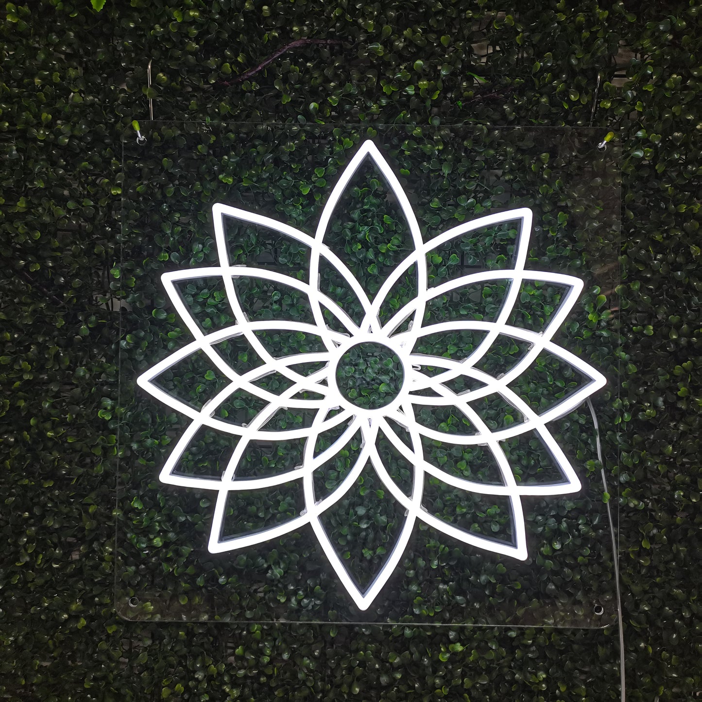 Fleur de Mandala enseigne au néon