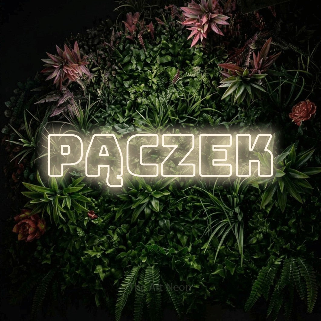 LED neon sign reading “Pączek”, arranged in a single line.
