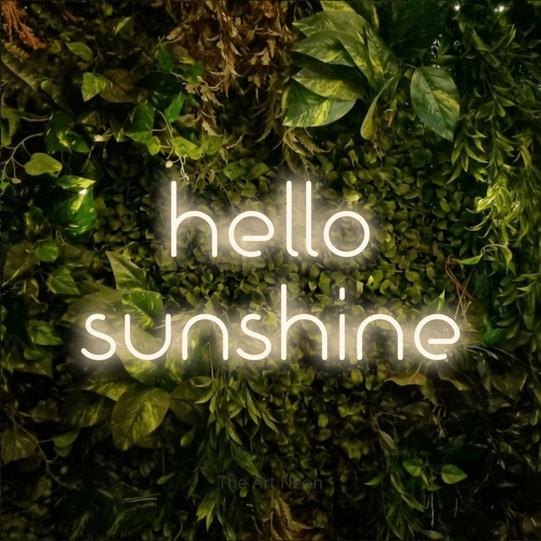 LED neon sign reading “hello sunshine”, arranged in two lines.