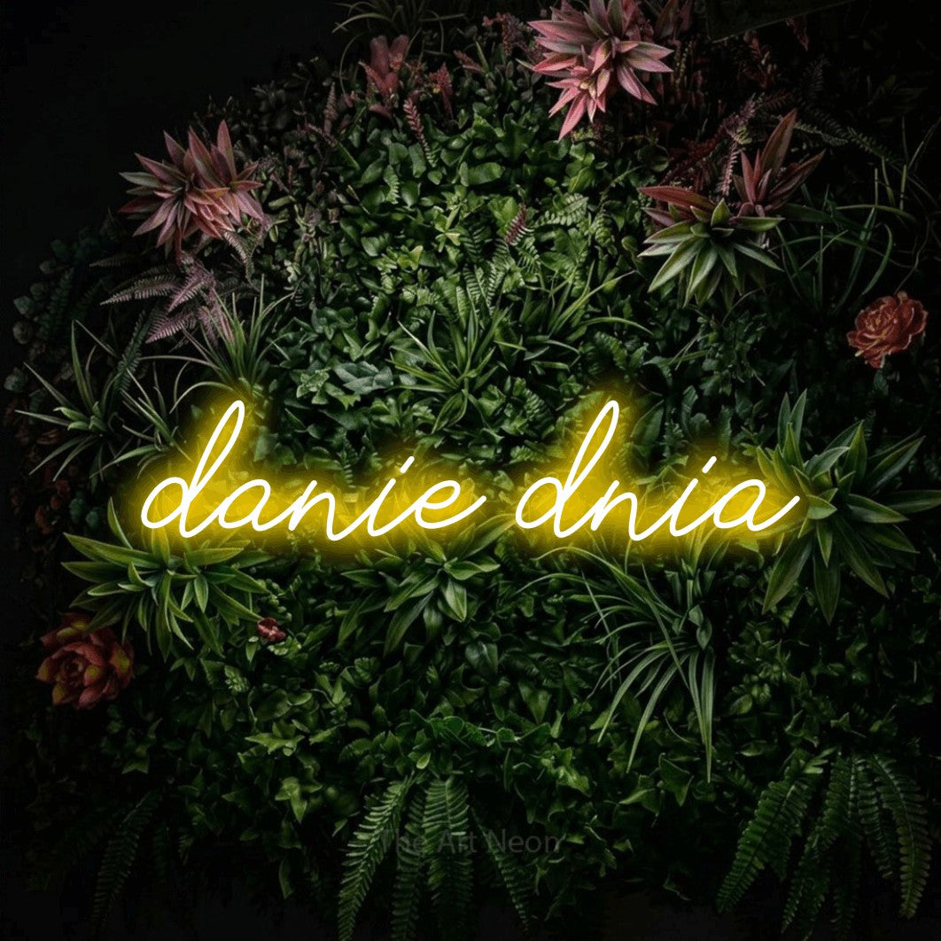LED neon sign reading “danie dnia”, arranged in a single line.