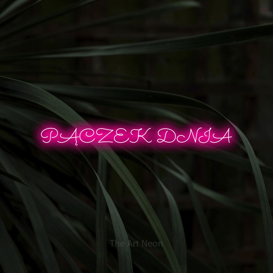 LED neon sign reading “PĄCZEK DNIA”, arranged in a single line.