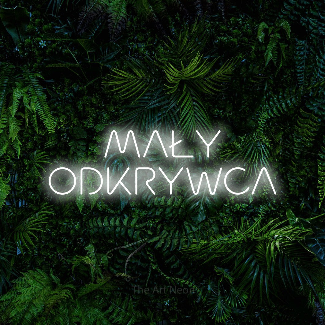 LED neon sign reading “MAŁY ODKRYWCA”, arranged in two lines.