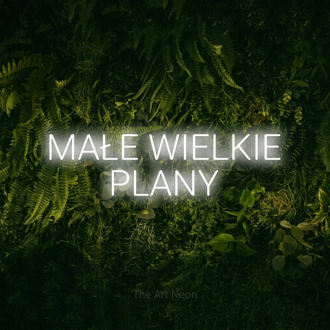 LED neon sign reading “MAŁE WIELKIE PLANY”, arranged in two lines.