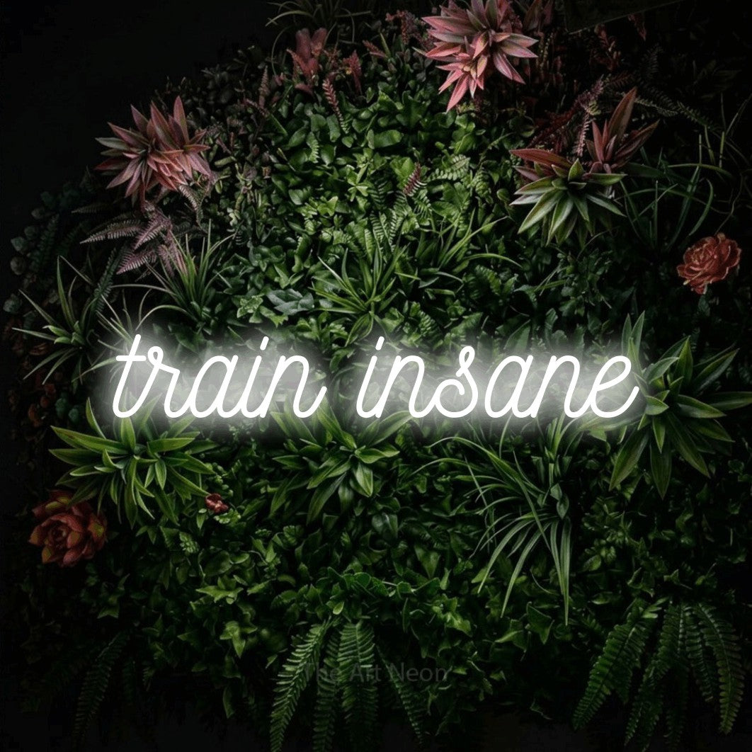 LED neon sign reading “train insane”, arranged in a single line.