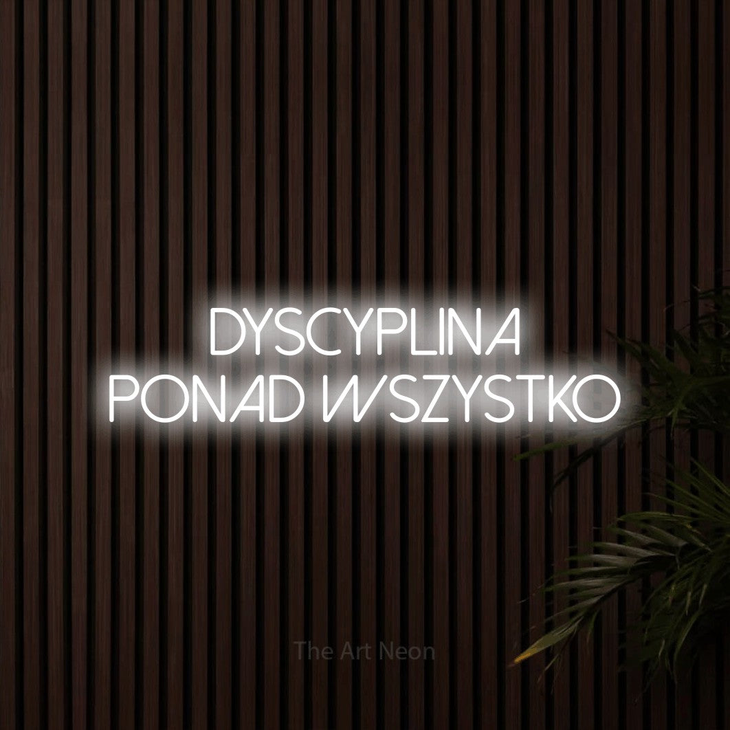 LED neon sign reading “DYSCYPLINA ponad wszystko”, arranged in two lines.