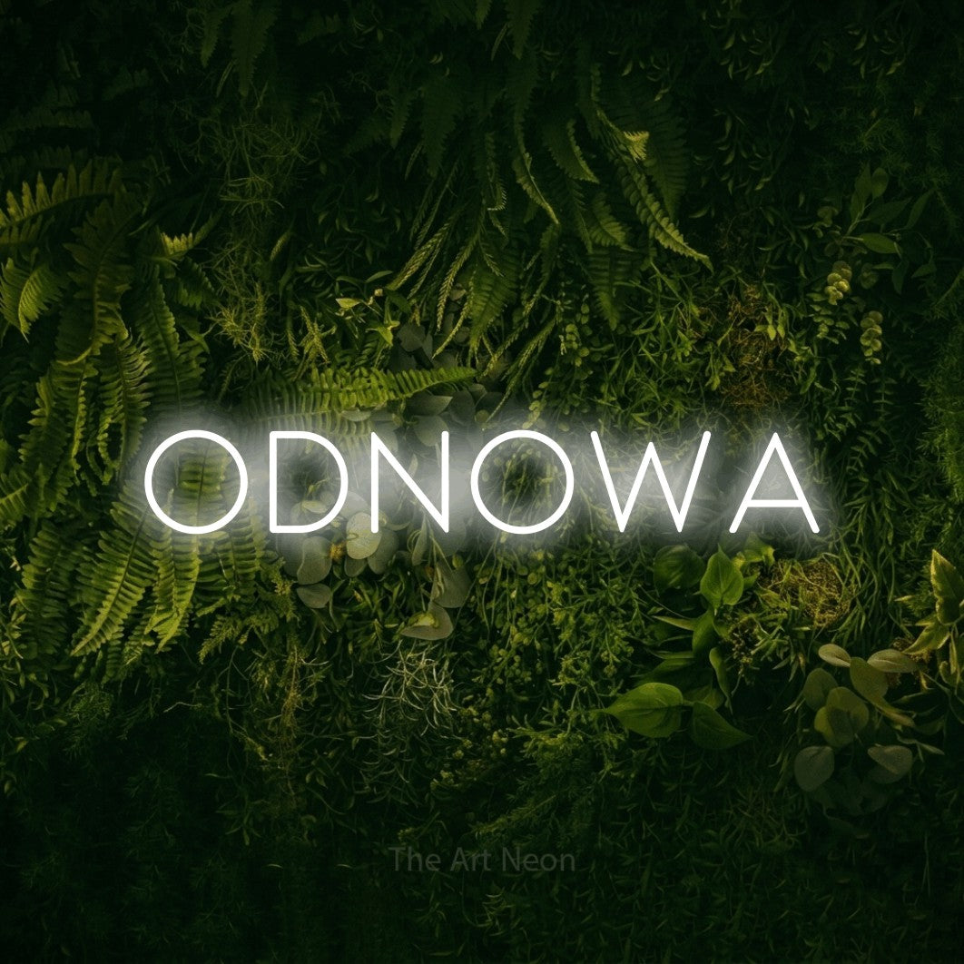 LED neon sign reading “ODNOWA”, arranged in a single line.