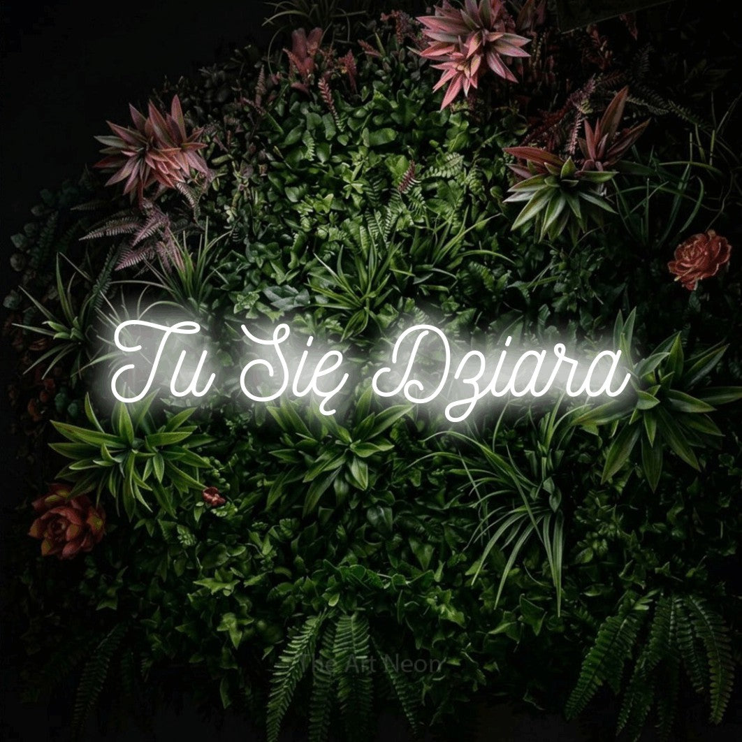 LED neon sign reading “Tu Się Dziara”, arranged in a single line.