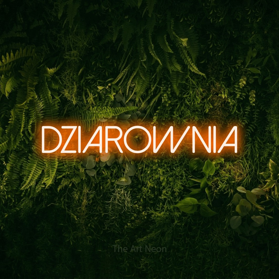 LED neon sign reading “DZIAROWNIA”, arranged in a single line.