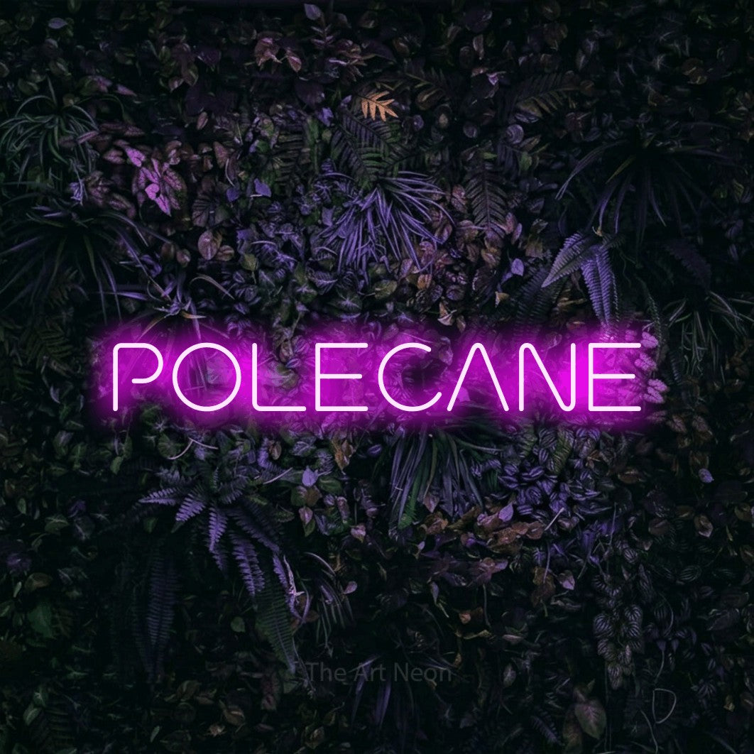 LED neon sign reading “POLECANE”, arranged in a single line.