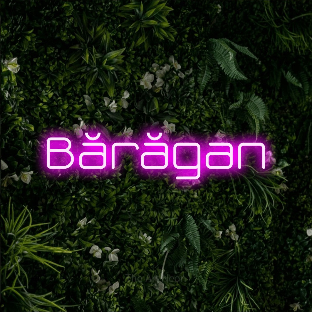 LED neon sign reading “Bărăgan”, arranged in a single line.
