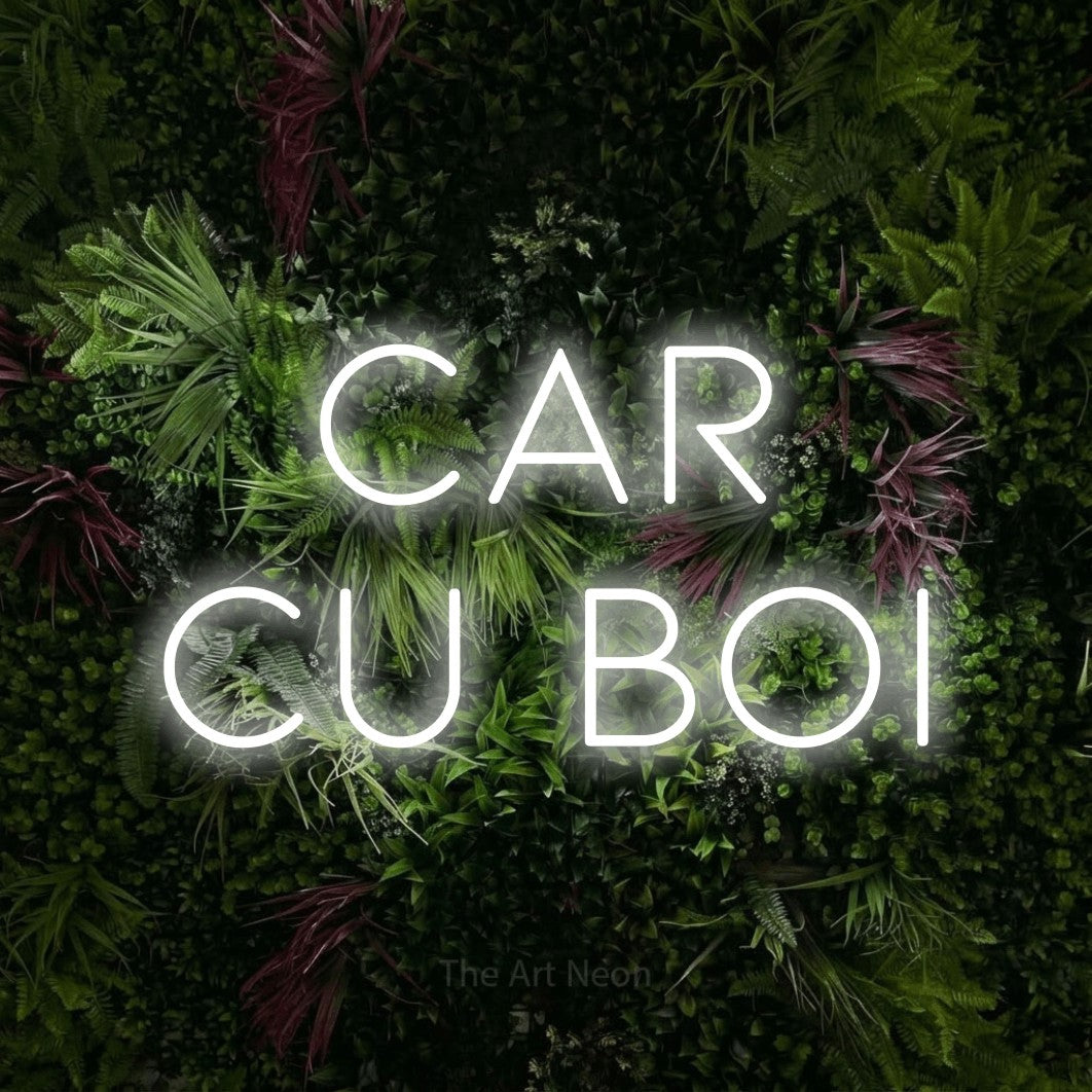 LED neon sign reading “CAR cu Boi”, arranged in two lines.