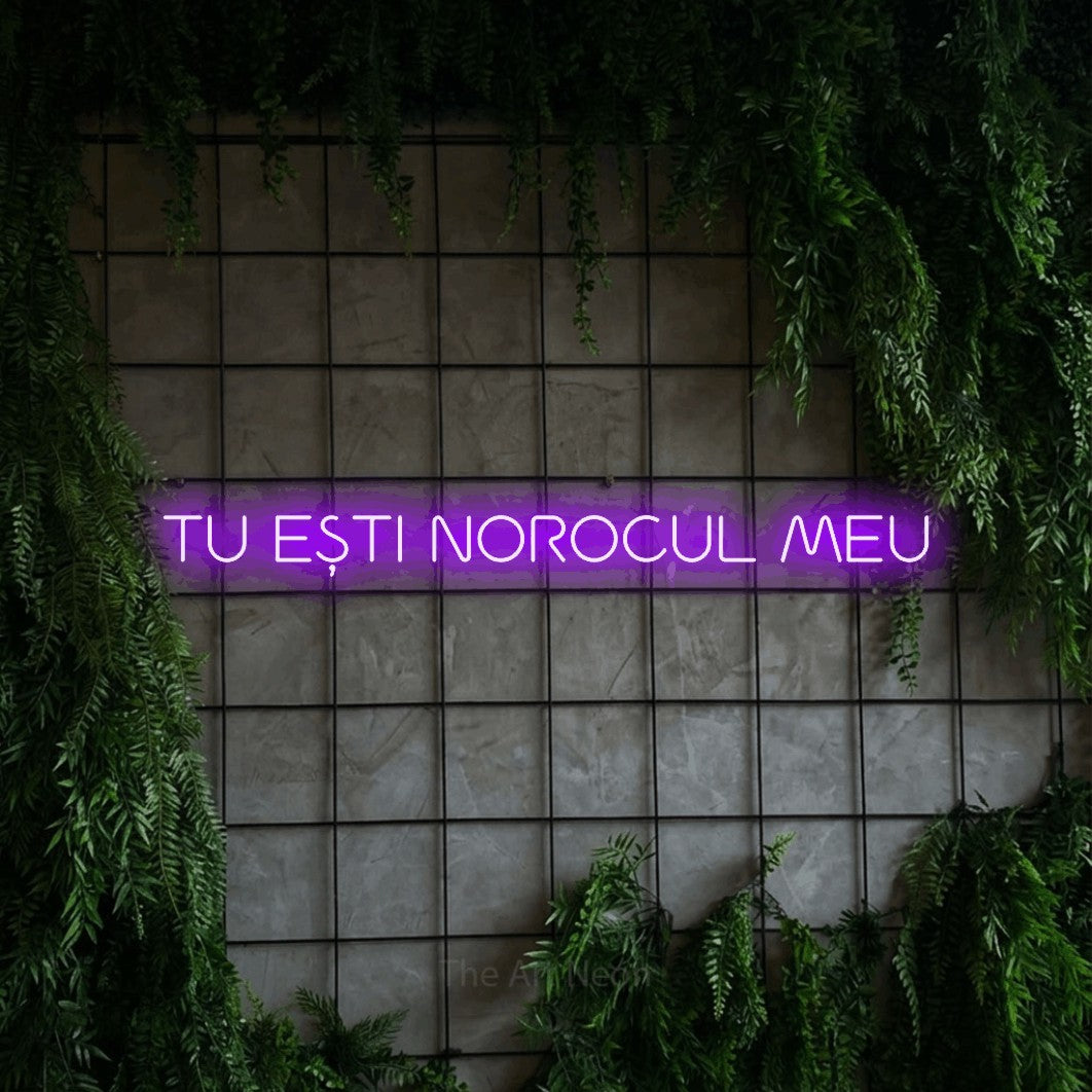 LED neon sign reading “TU EȘTI NOROCUL MEU”, arranged in a single line.